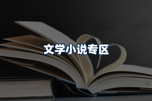 文学小说PDF展示
